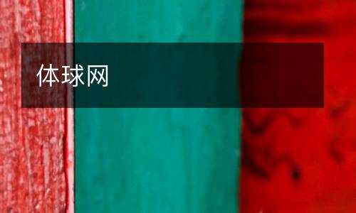 體球網