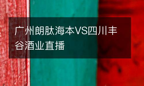 廣州朗肽海本VS四川豐谷酒業直播