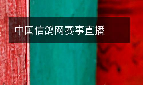 中國信鴿網賽事直播