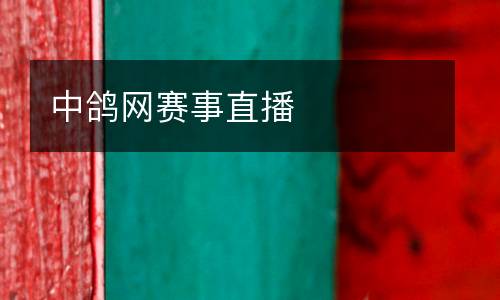 中鴿網賽事直播