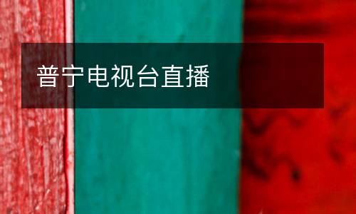 普寧電視臺直播