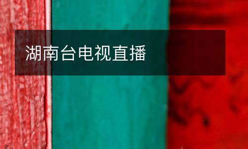湖南臺電視直播